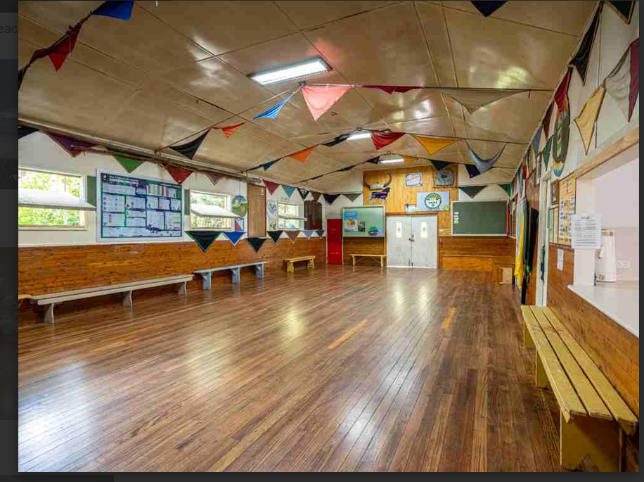 AUSTINMER- Intuitive still life workshop SATURDAY  FEB 7th